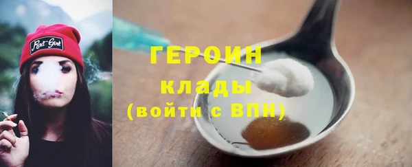 индика Богородицк